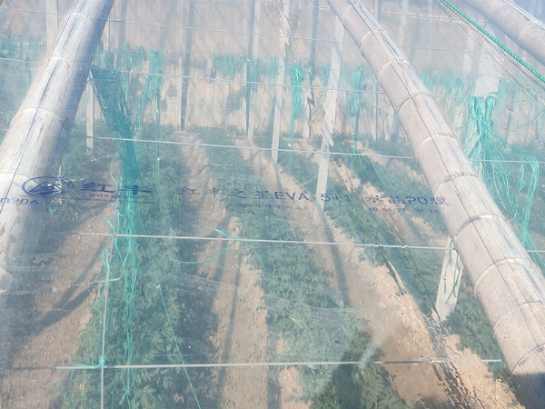 a1d677ff66d6f62492bc0af98581e24